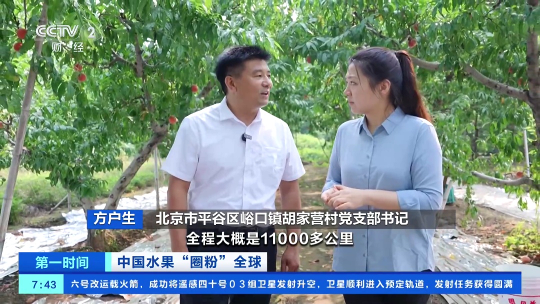 全球下单！它“果”然是爆款