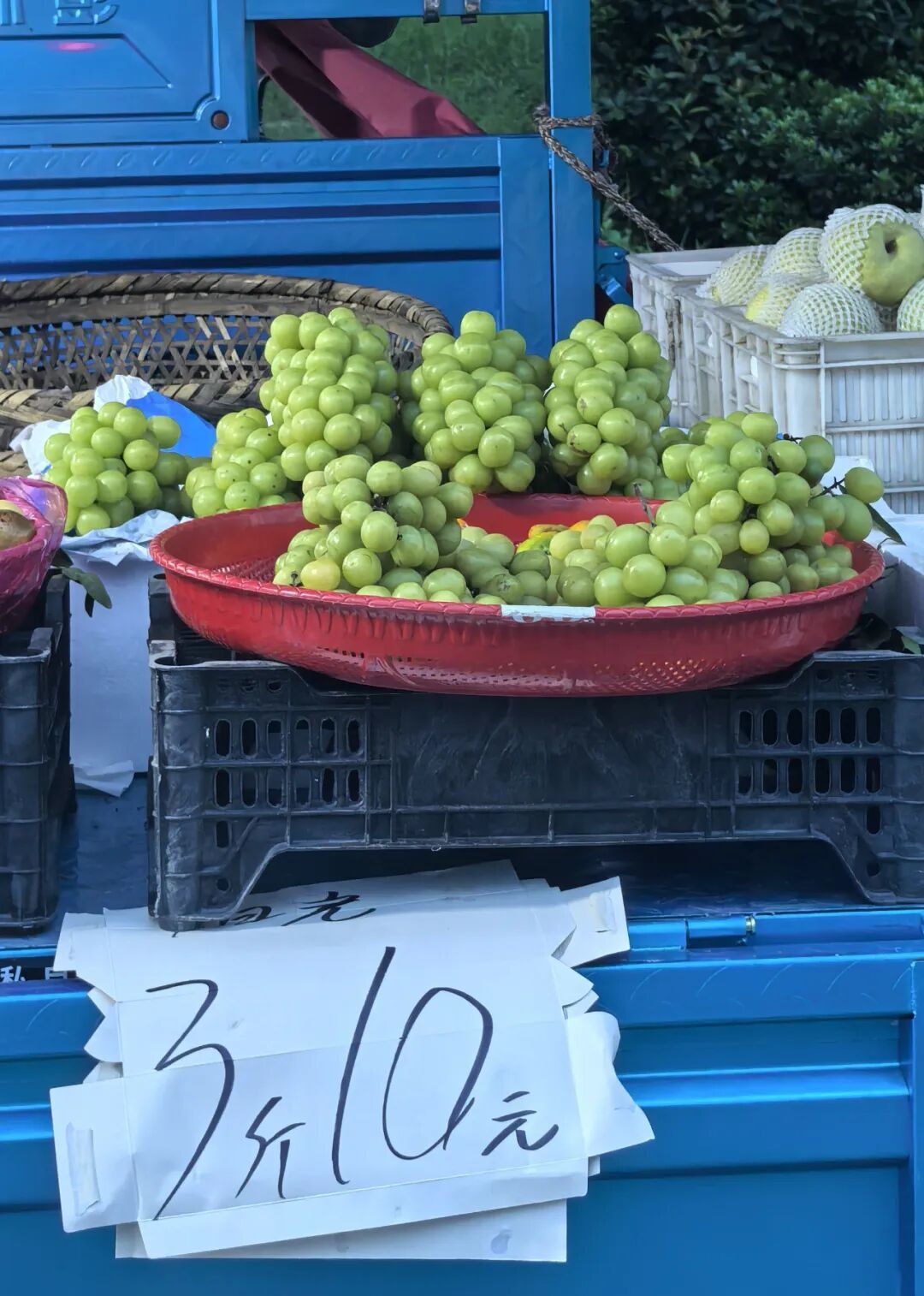 10块钱3斤！合肥大量上市