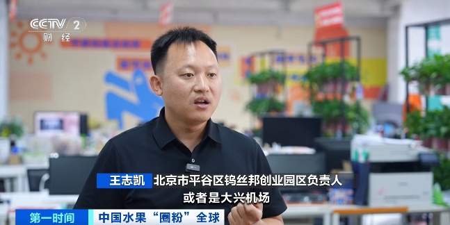 全球下单！它“果”然是爆款