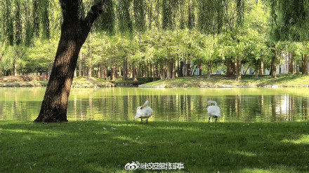 舒朗！北京秋天氛围感越来越浓了