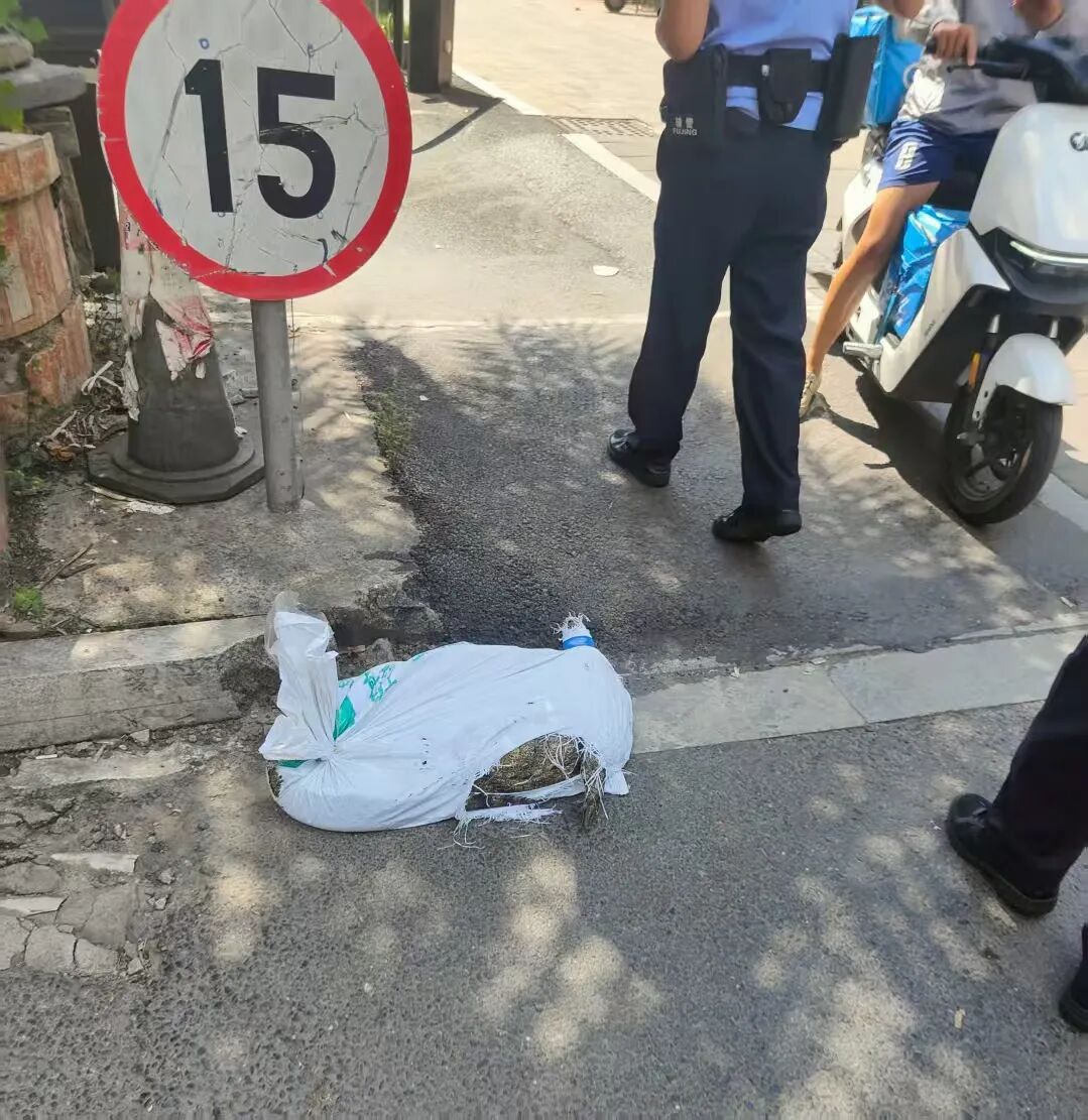 广东一骑手称配送鳄鱼半路“复活”，还抓坏了他的鞋，老板：我没说过是死的，平台回应