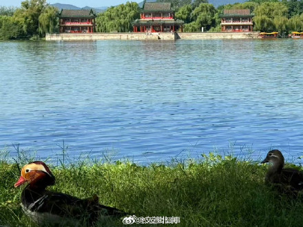 舒朗！北京秋天氛围感越来越浓了