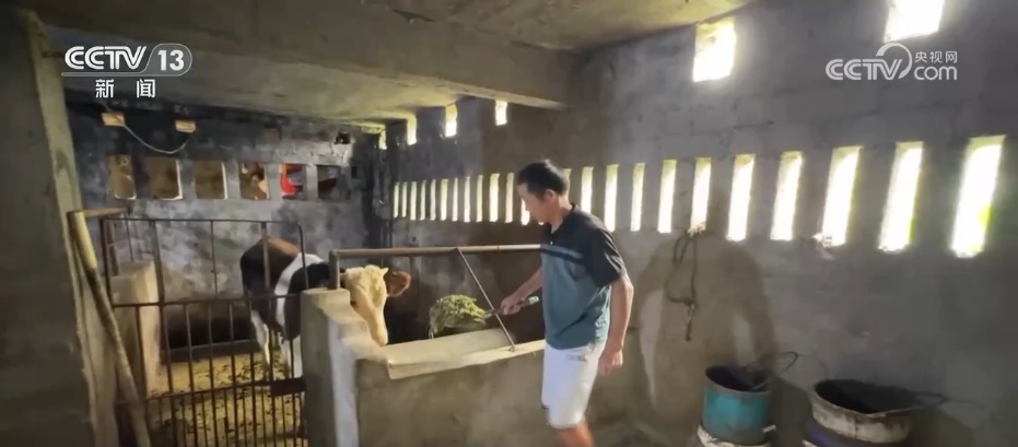 从环境“小整治”到村貌“大提升” “脏乱差”小村变身美丽乡村