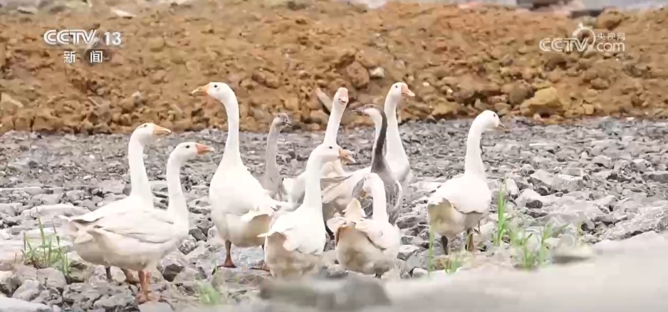 从环境“小整治”到村貌“大提升” “脏乱差”小村变身美丽乡村