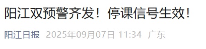 广东多地发布停课通知！72个台风预警信号生效中，将有暴雨到大暴雨，琼州海峡航线全线停运