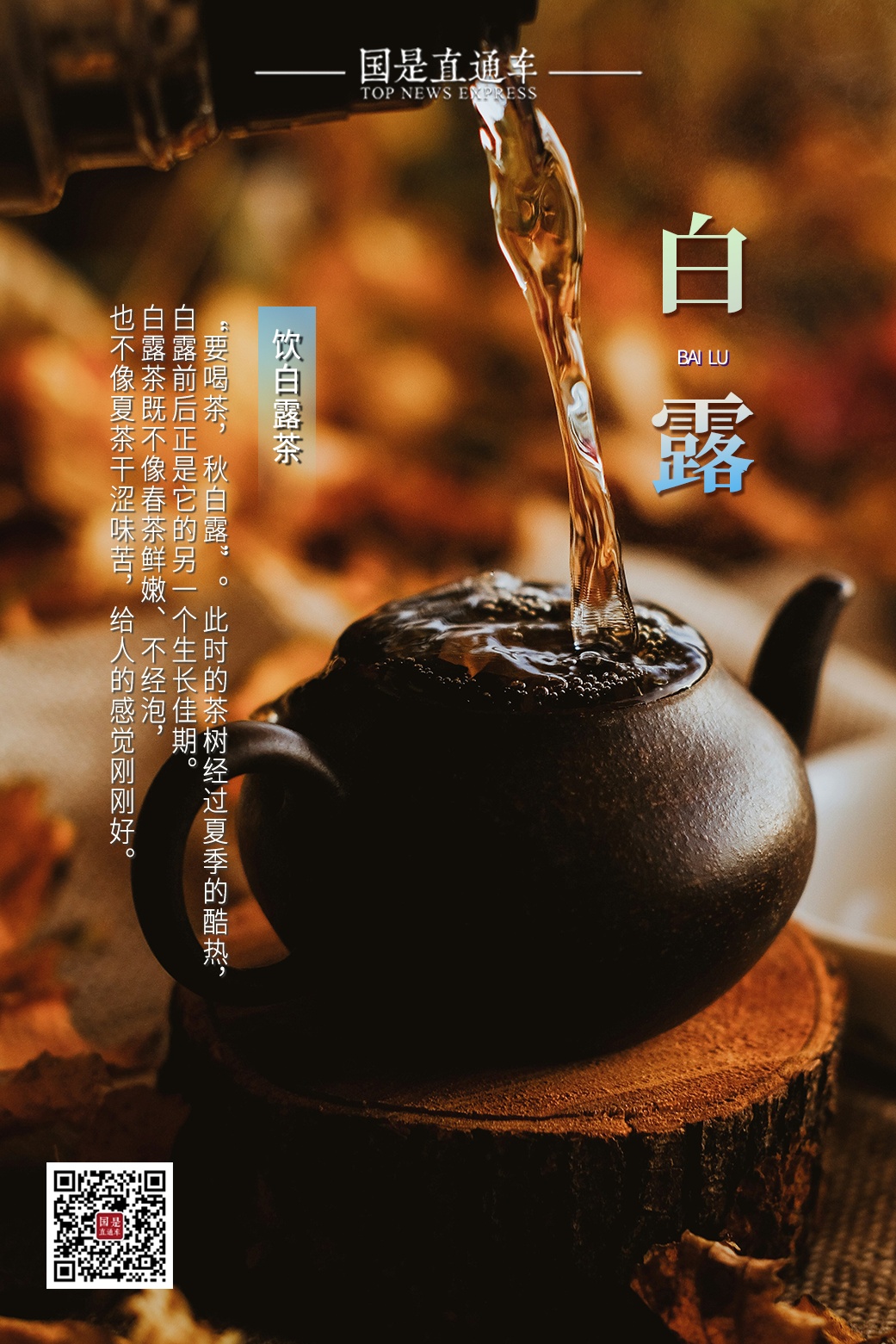 今日白露：秋有了诗的味道