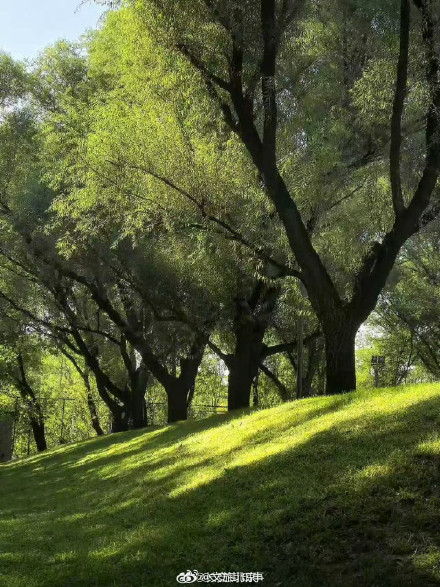 舒朗！北京秋天氛围感越来越浓了