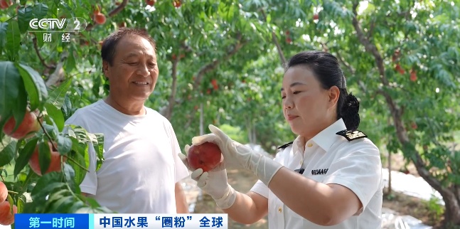 全球下单！它“果”然是爆款