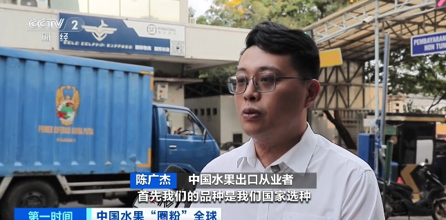 全球下单！它“果”然是爆款