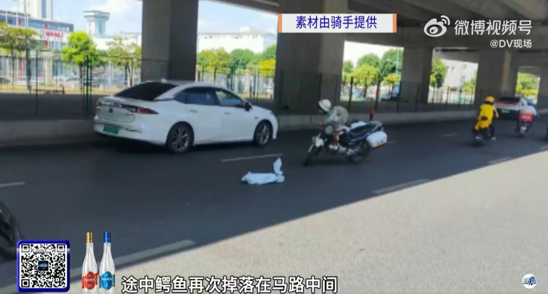 广东一骑手称配送鳄鱼半路“复活”，还抓坏了他的鞋，老板：我没说过是死的，平台回应