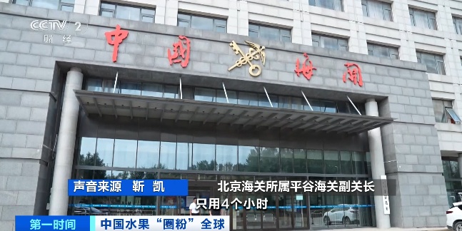 全球下单！它“果”然是爆款