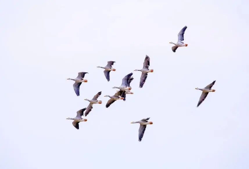 今天起，吃饭、穿衣记得调整一下