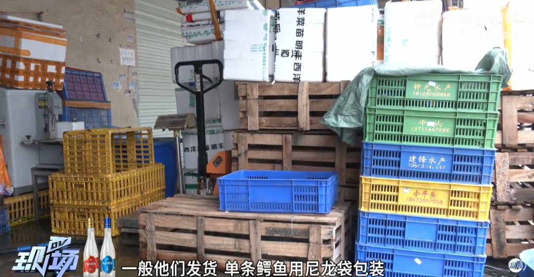 广东一骑手称配送鳄鱼半路“复活”，还抓坏了他的鞋，老板：我没说过是死的，平台回应