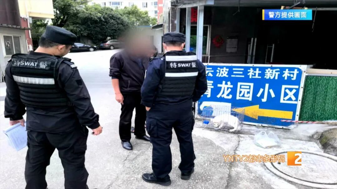 白狐现身昆明某小区！市民：我一开始以为是狗