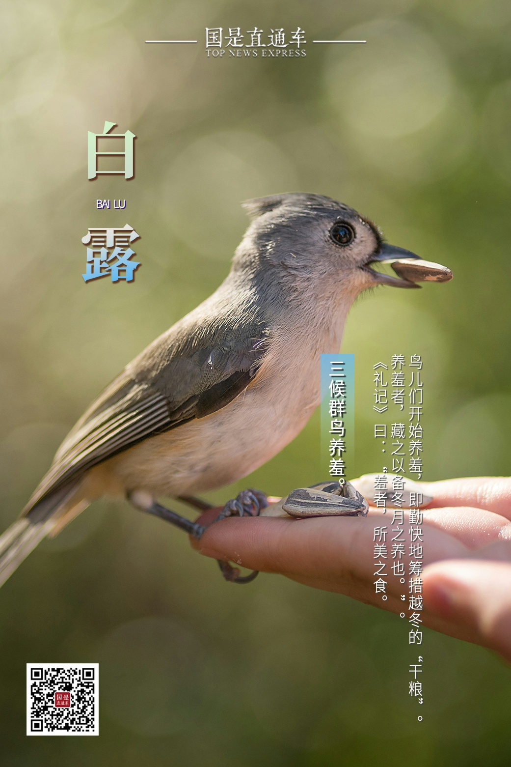 今日白露：秋有了诗的味道