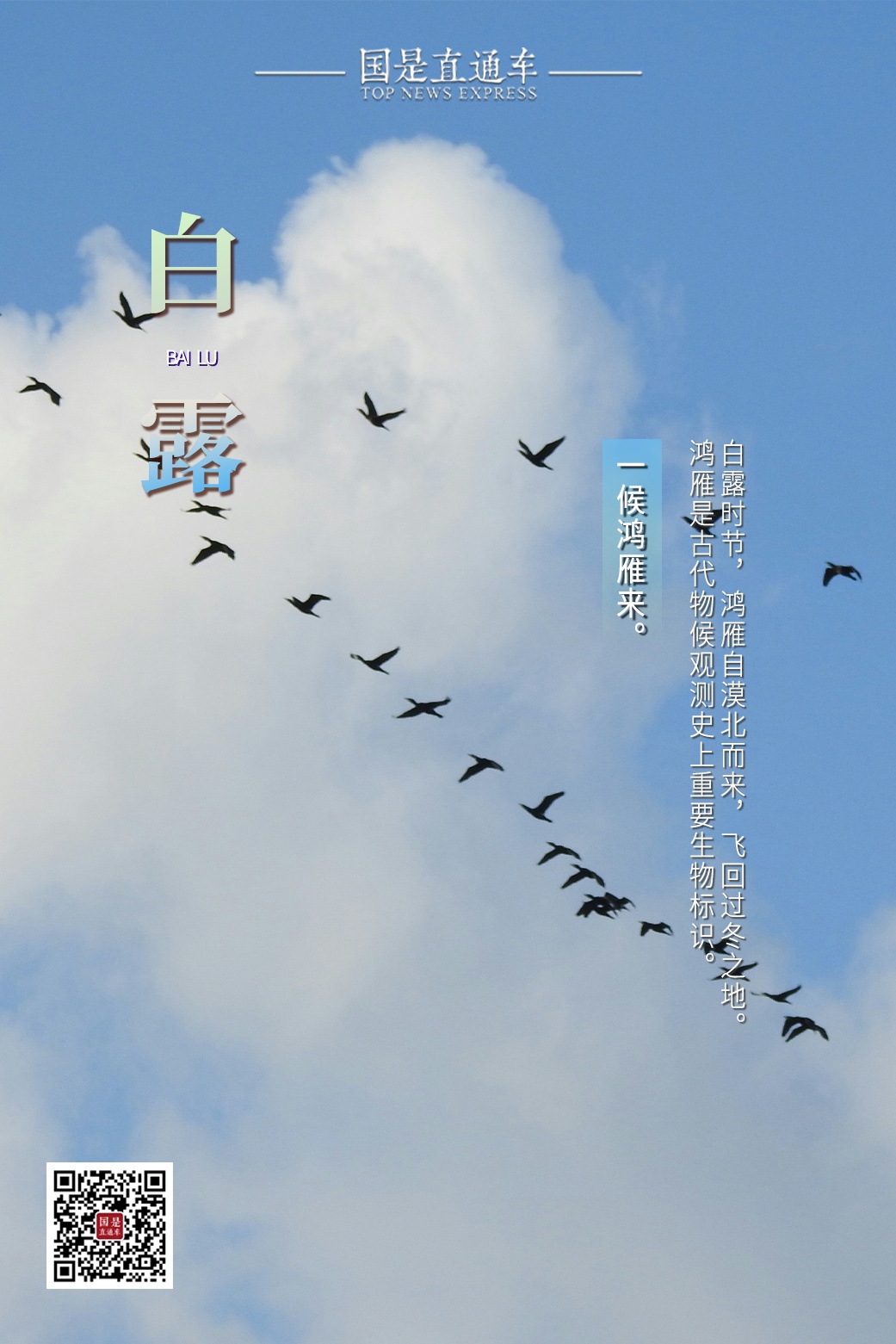 今日白露：秋有了诗的味道