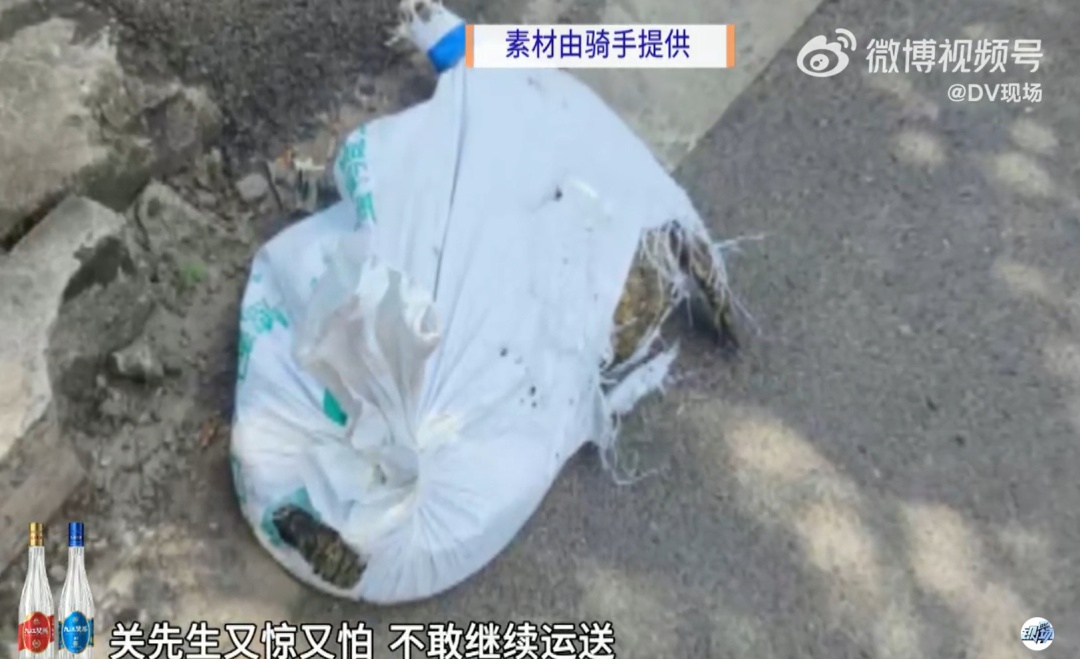 广东一骑手称配送鳄鱼半路“复活”，还抓坏了他的鞋，老板：我没说过是死的，平台回应