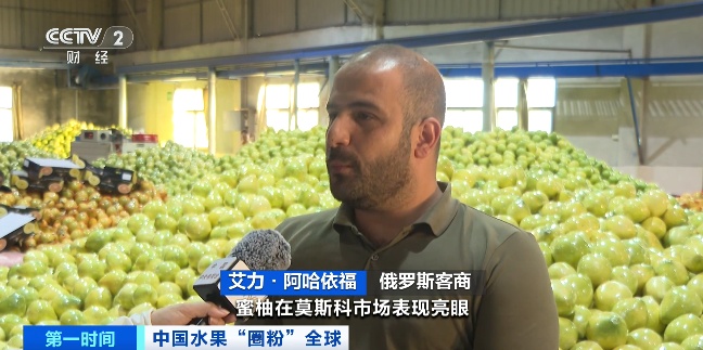 全球下单！它“果”然是爆款