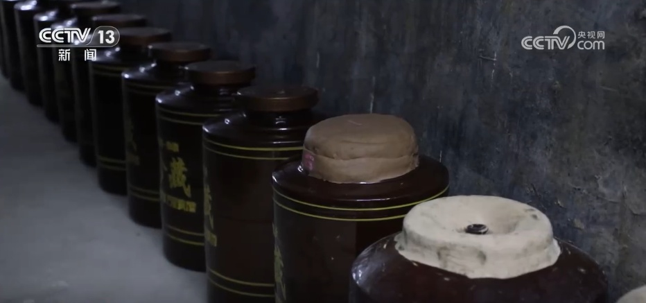 寻“白”食“白” “补露”正当时 时令美食诠释舌尖上的美味