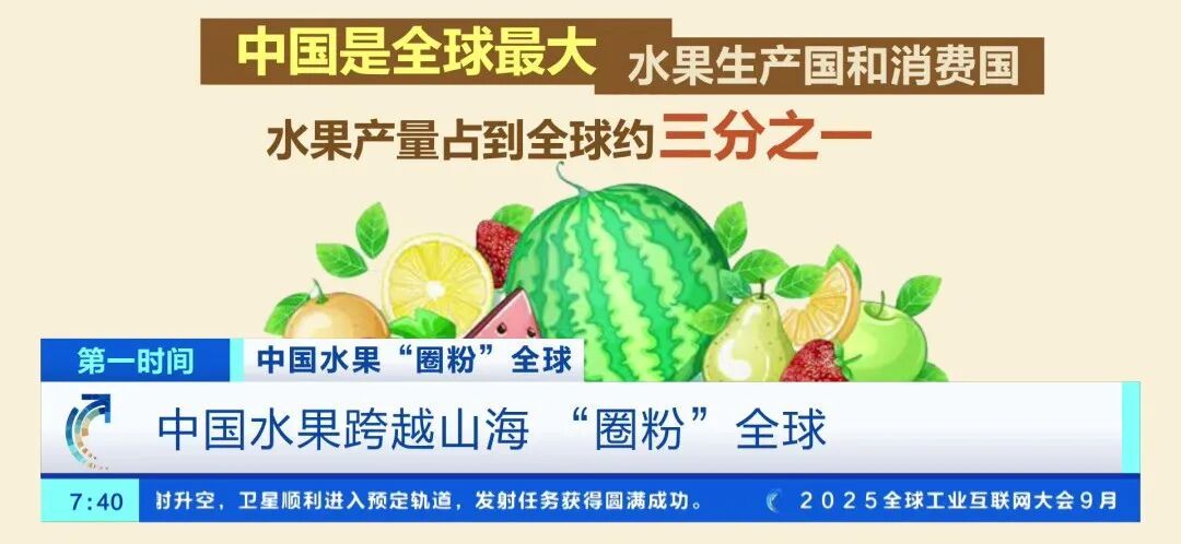 全球下单！它“果”然是爆款