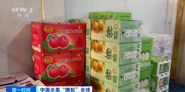 全球下单！它“果”然是爆款