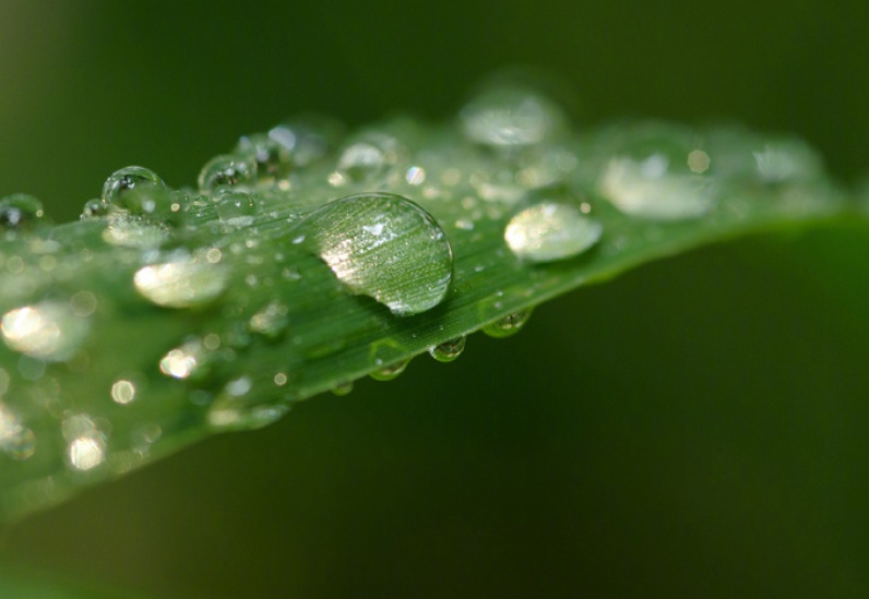 40℃的白露！浙江何时能迎来凉爽天气？