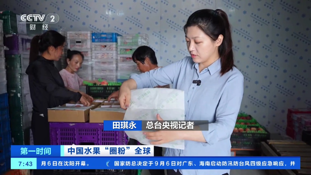 全球下单！它“果”然是爆款