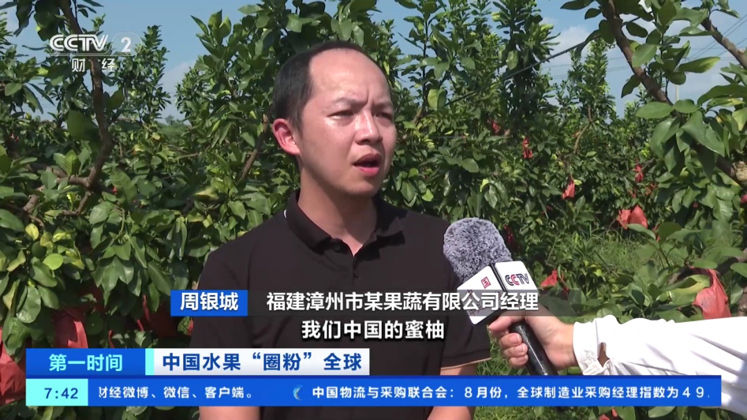 全球下单！它“果”然是爆款
