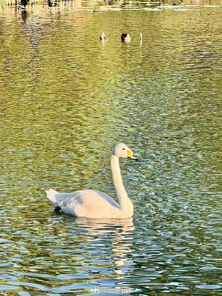 舒朗！北京秋天氛围感越来越浓了