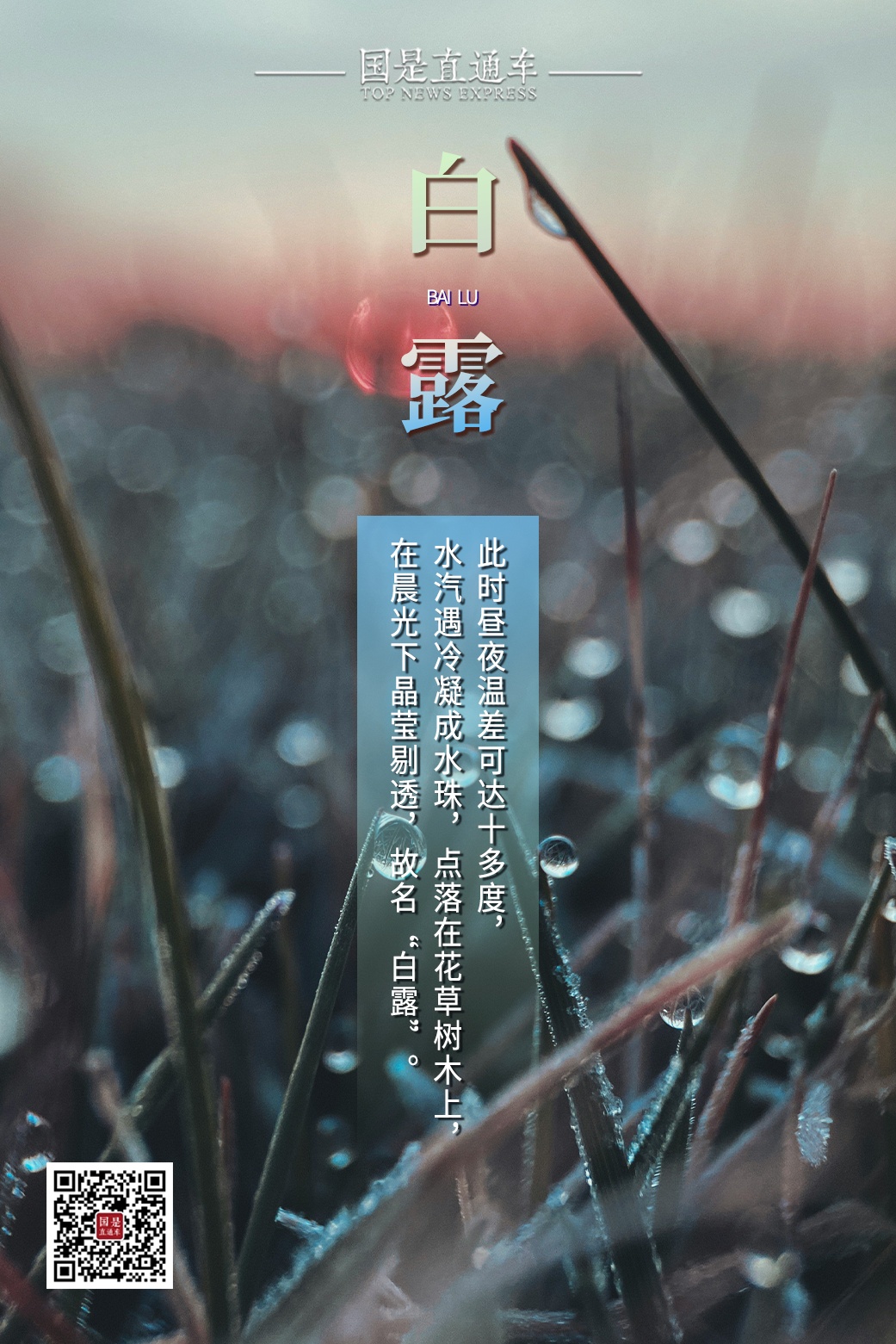 今日白露：秋有了诗的味道