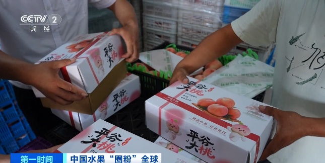 全球下单！它“果”然是爆款