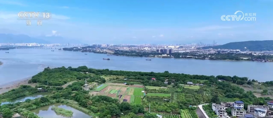 寻“白”食“白” “补露”正当时 时令美食诠释舌尖上的美味