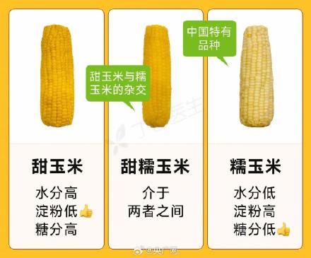 玉米是所有粗粮里最会骗人的 玉米是所有粗粮里最会骗人的