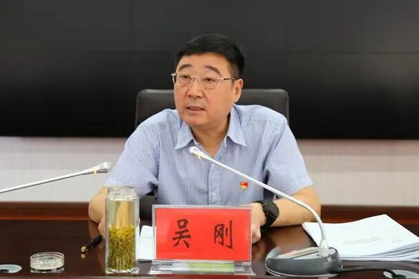 吴刚，被查
