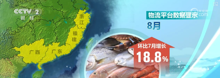 生产忙！销售旺！卫星导航助力渔民精准高效捕鱼 海鲜消费呈现新特点