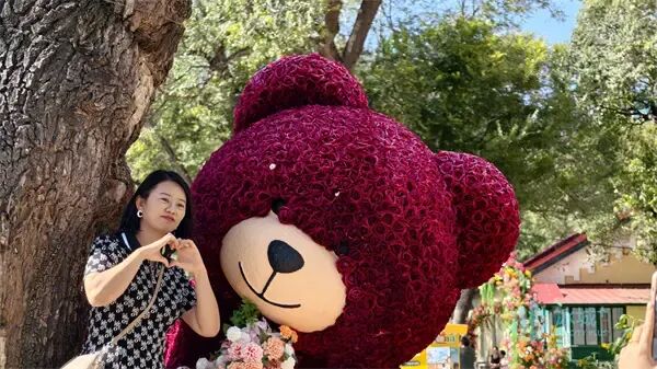 初秋哈尔滨“黄房子”引客来，市民游客乐享清爽时光
