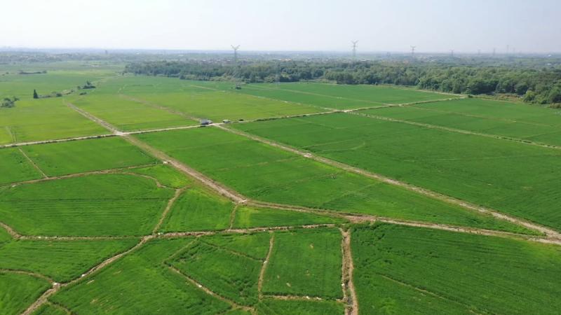 江西抚州：科技赋能抢收快烘 筑牢秋粮丰收防线