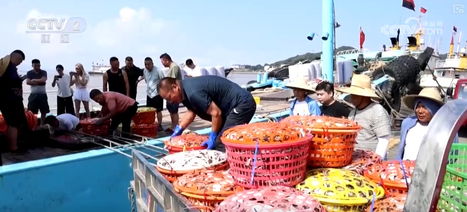 生产忙！销售旺！卫星导航助力渔民精准高效捕鱼 海鲜消费呈现新特点