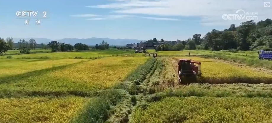 新型农机成“主角”、无人机开辟“空中走廊”……科技赋能金秋好“丰”景