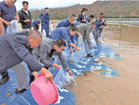 青海30万尾鱼儿游入黄河
