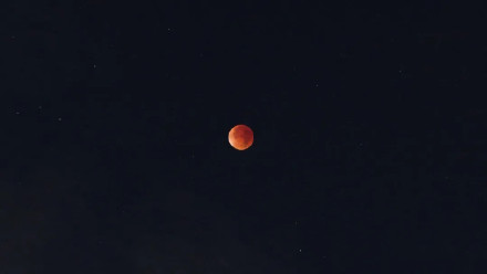 红月亮在午夜朋友圈刷屏