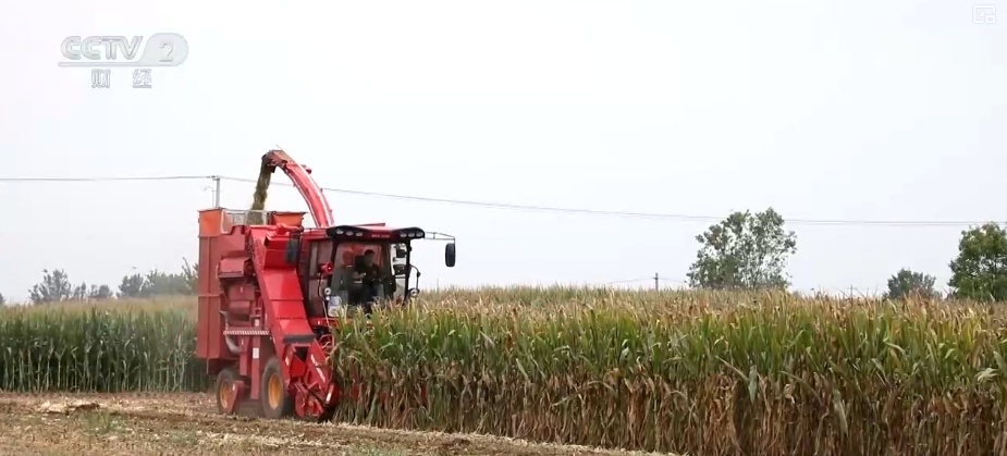 新型农机成“主角”、无人机开辟“空中走廊”……科技赋能金秋好“丰”景