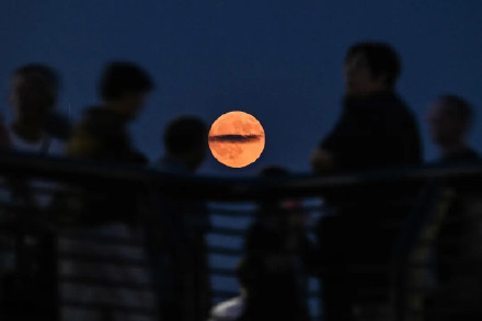 红月亮在午夜朋友圈刷屏