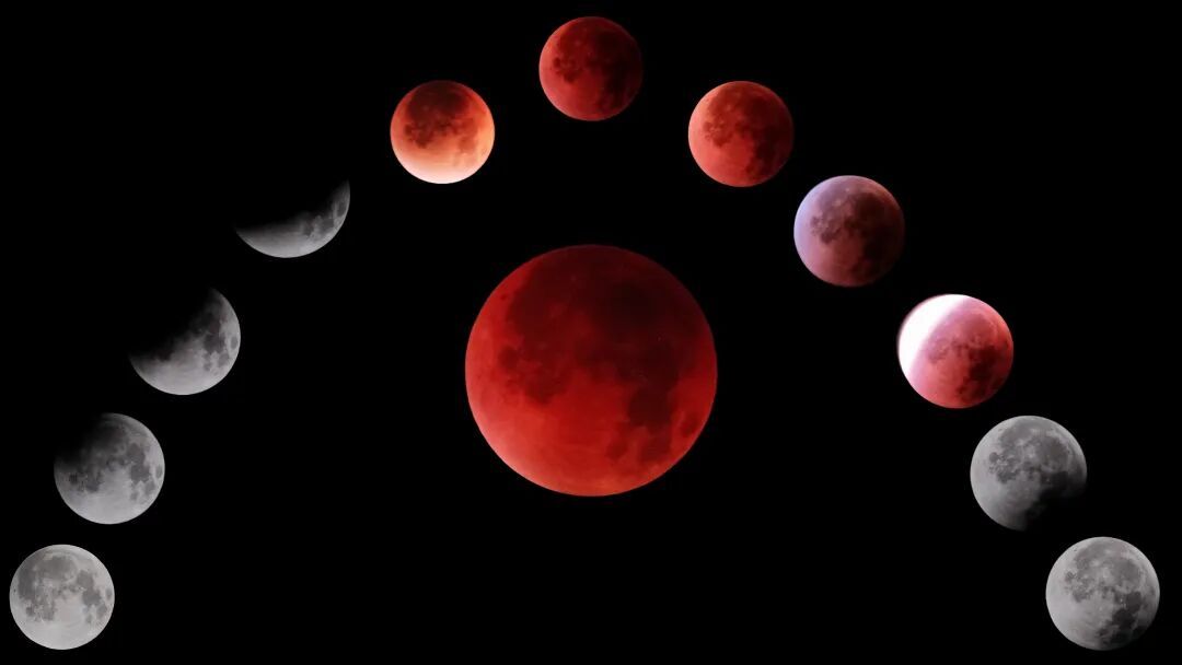 “高人在这！”高校“红月亮”接力……