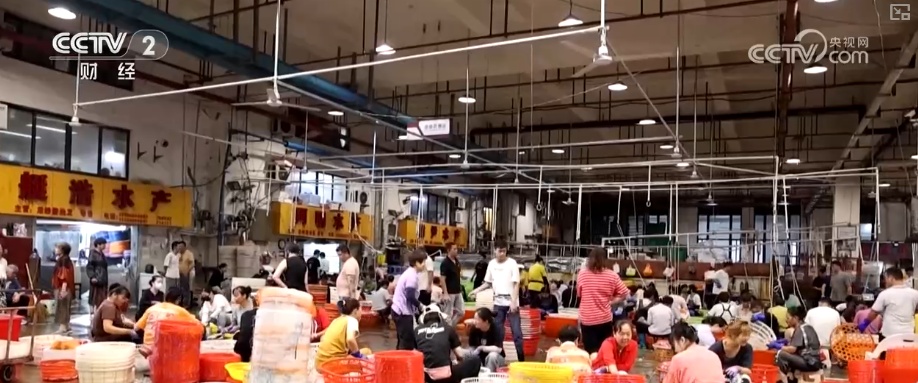 生产忙！销售旺！卫星导航助力渔民精准高效捕鱼 海鲜消费呈现新特点