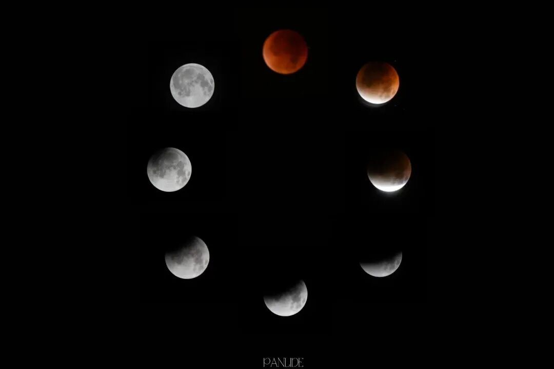 “高人在这！”高校“红月亮”接力……