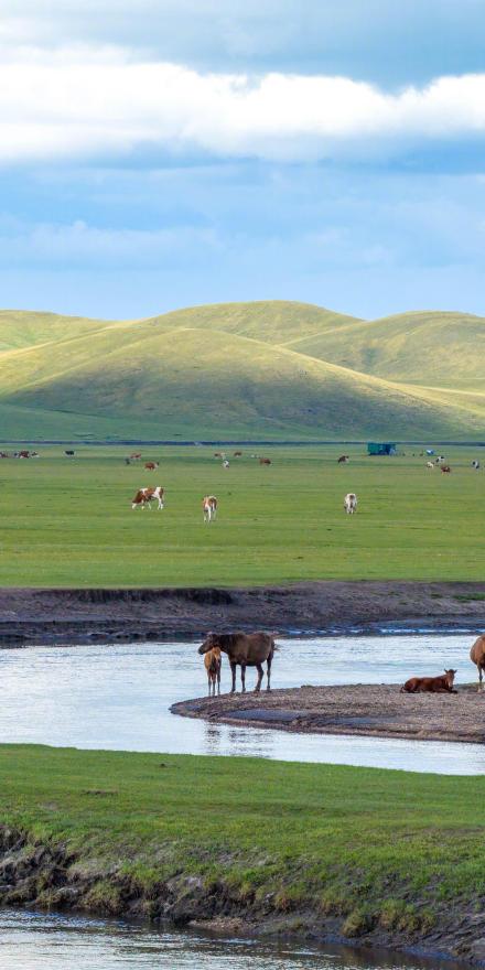 收藏！初秋草原超绝治愈系壁纸