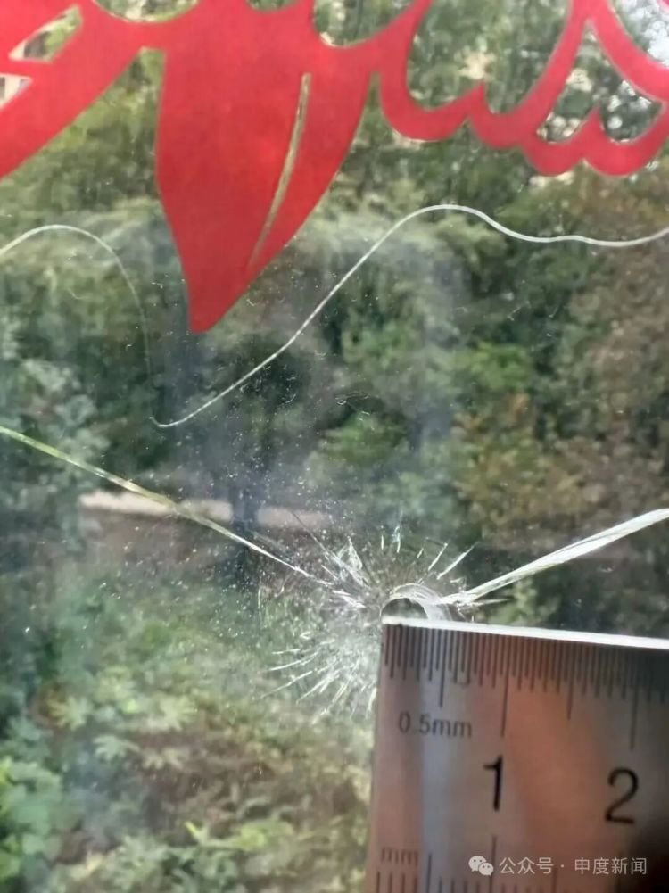 太可怕！“住了十几年没遇到过”，上海一小区居民报警：窗户玻璃上惊现碎痕