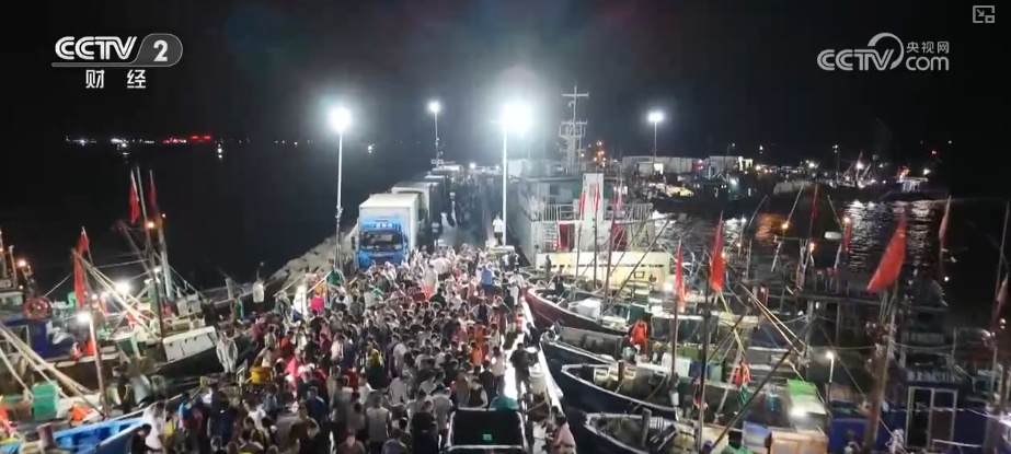 生产忙！销售旺！卫星导航助力渔民精准高效捕鱼 海鲜消费呈现新特点