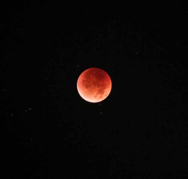 “高人在这！”高校“红月亮”接力……